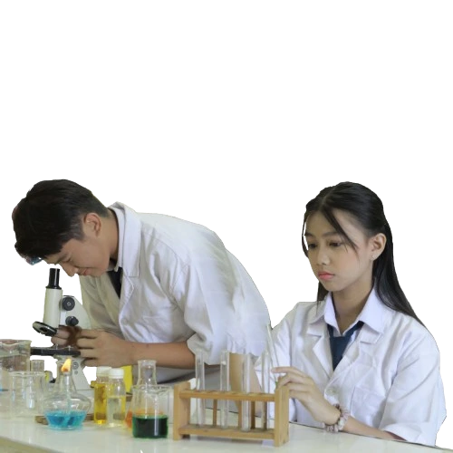 sekolah-terang-bangsa